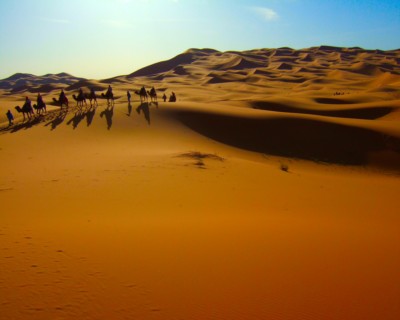 Tax Breaks Help Morocco Market Double