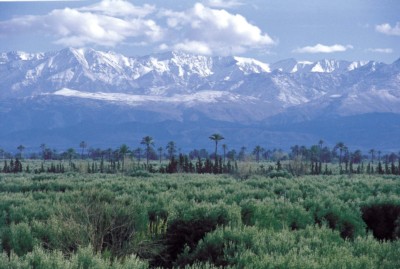 Souk It And Ski,  A New Ski Resort In Morocco’s Atlas Mountains!