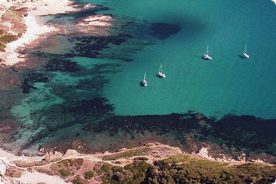 Cote D`Azur Market Prices Corrected - 2010