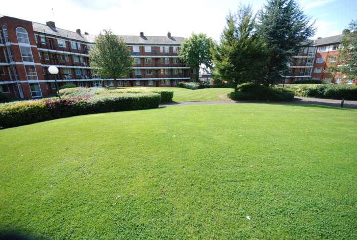 St James Park