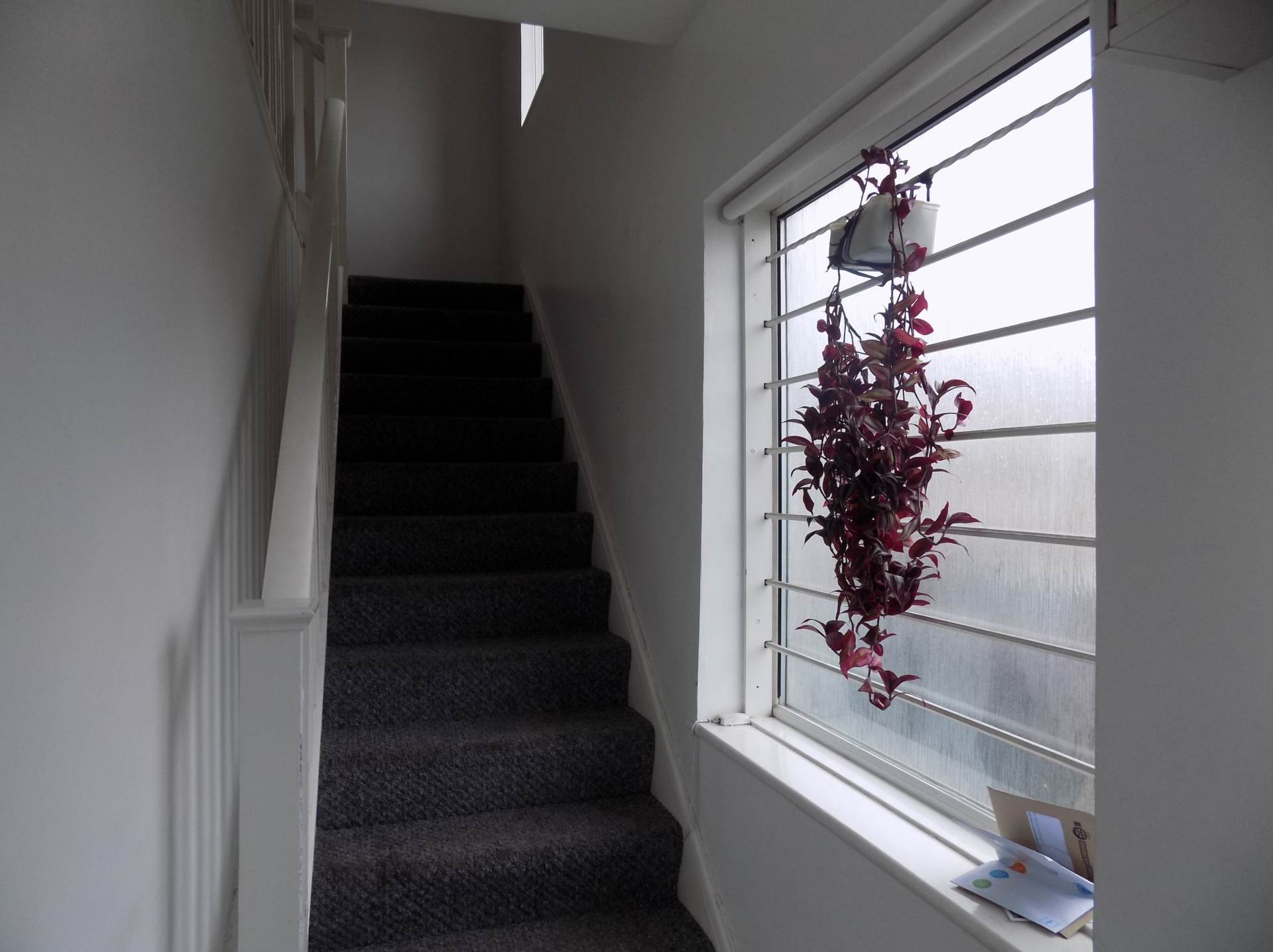 Gunnersbury Lane, Acton, Image 5