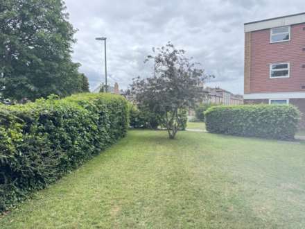 Somerstown, Chichester, Image 18