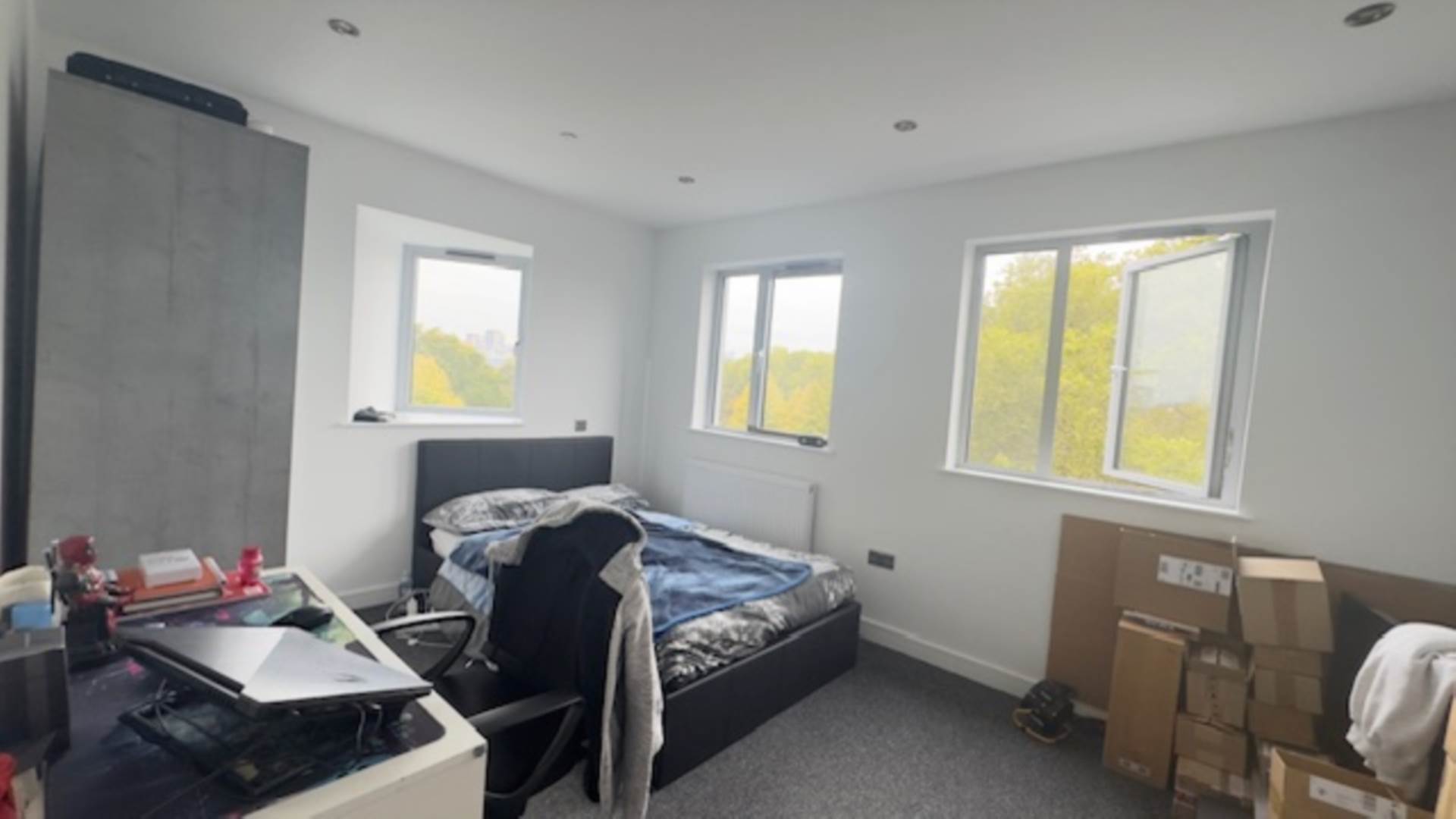 Hermit Road, London, E16, Image 8