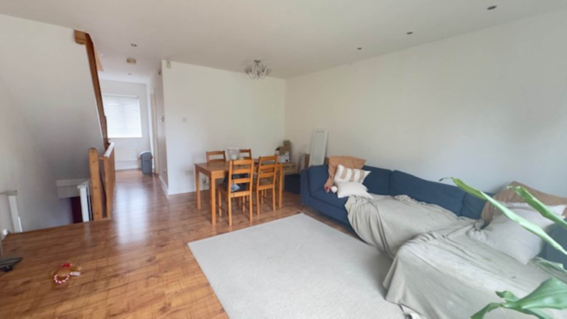 Hardy Avenue, Custom House, Image 8