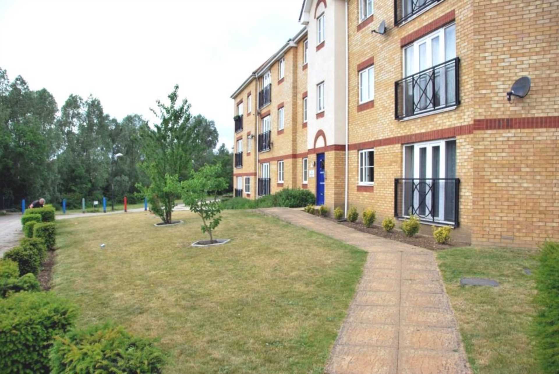 Foxglove Path, Riverside, Image 11