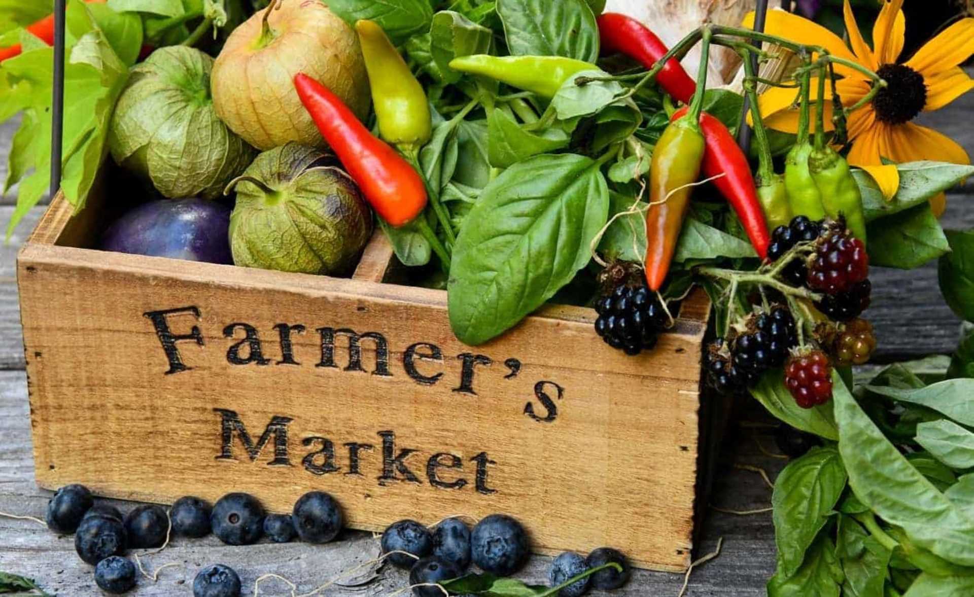 THIS SUNDAY - 10TH SEPTEMBER - FARMERS MARKET AT LESNES ABBEY.