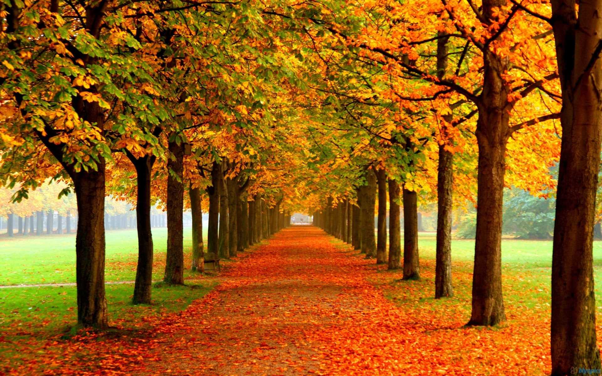 Autumn 23 is here...