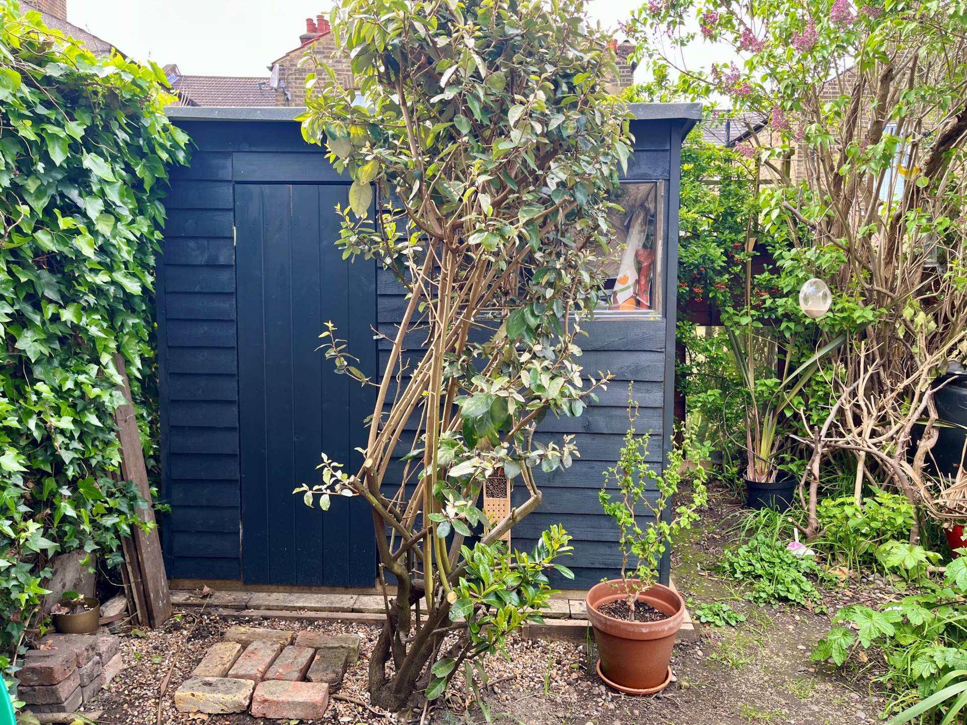 Owenite Street, SE2 * 3D FLOORPLAN AVAILABLE *, Image 11