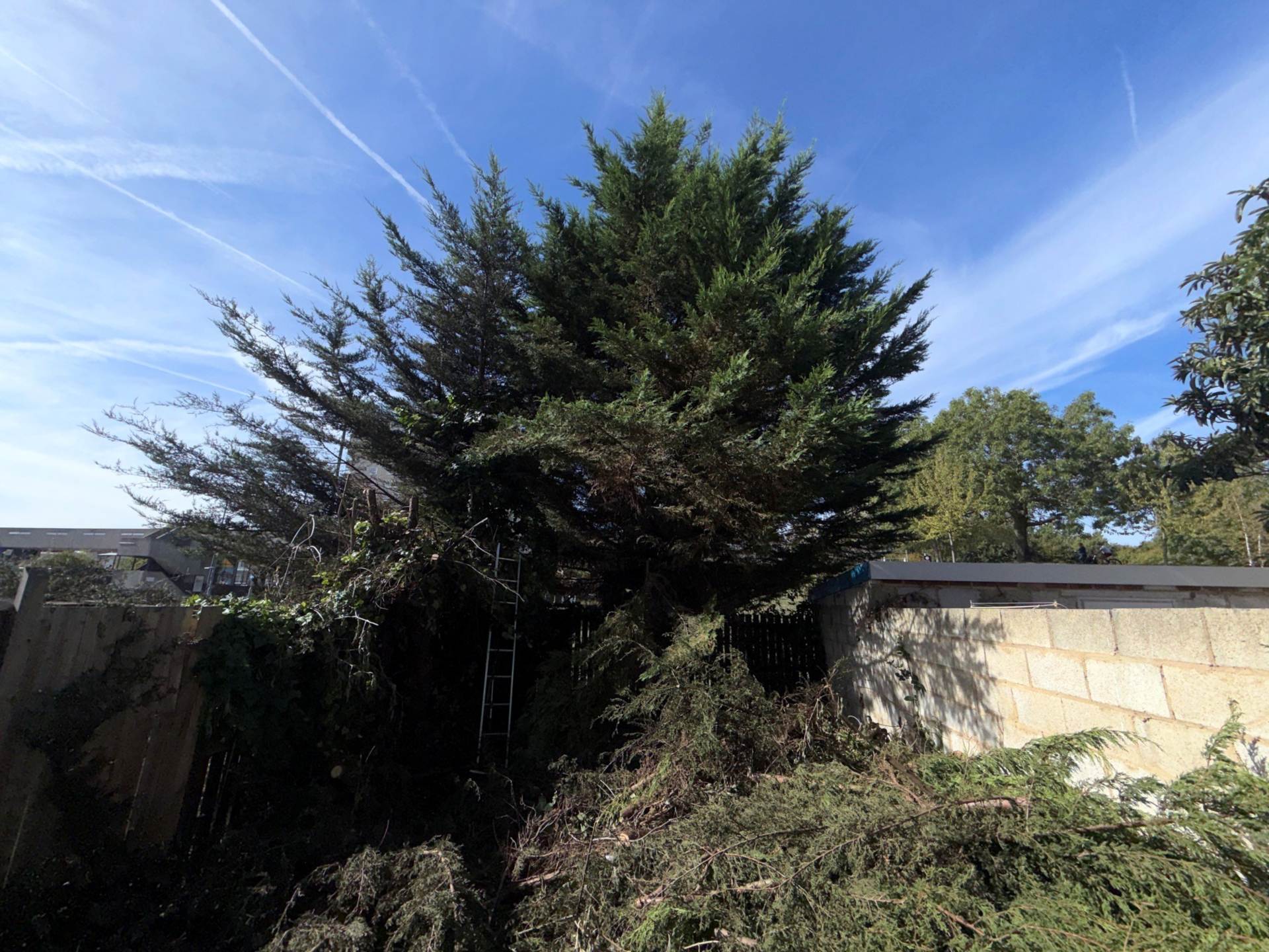 St. Martins Close, Erith ** VIDEO & 3D FLOORPLAN AVAILABLE **, Image 14