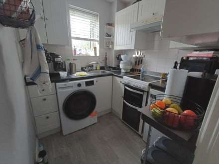 Blakemore Way, Priory Garden, Image 7