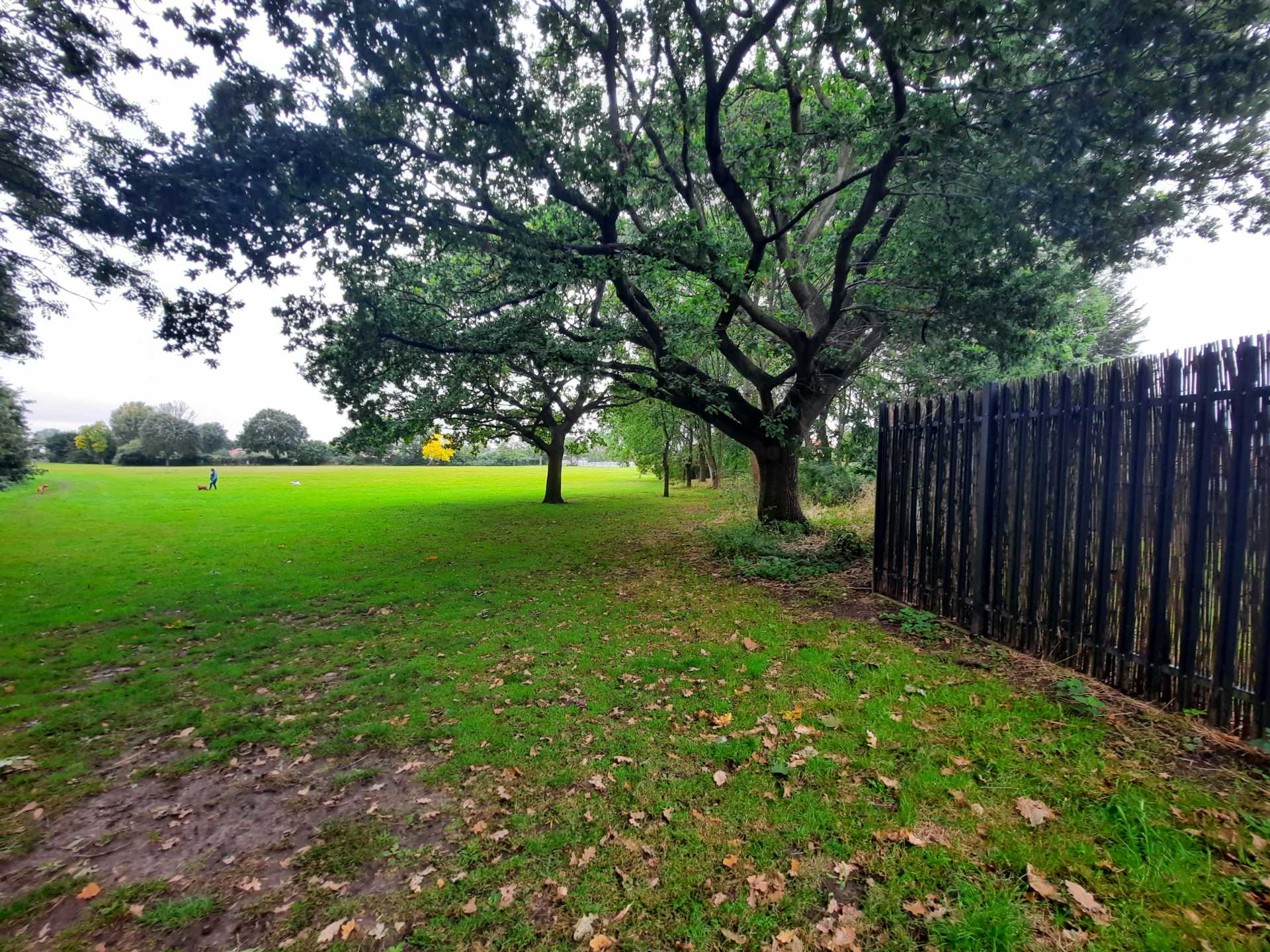 Cedar Avenue, Sidcup, Image 9