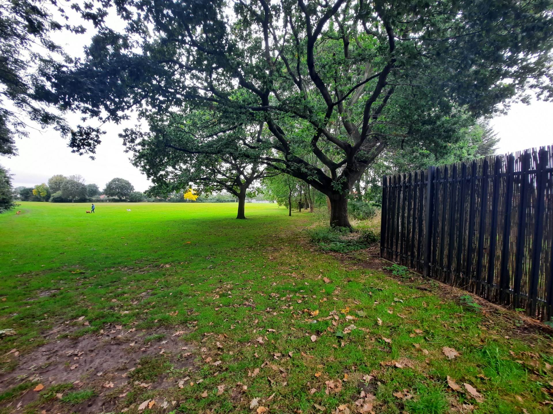 Cedar Avenue, Sidcup, Kent, Image 9