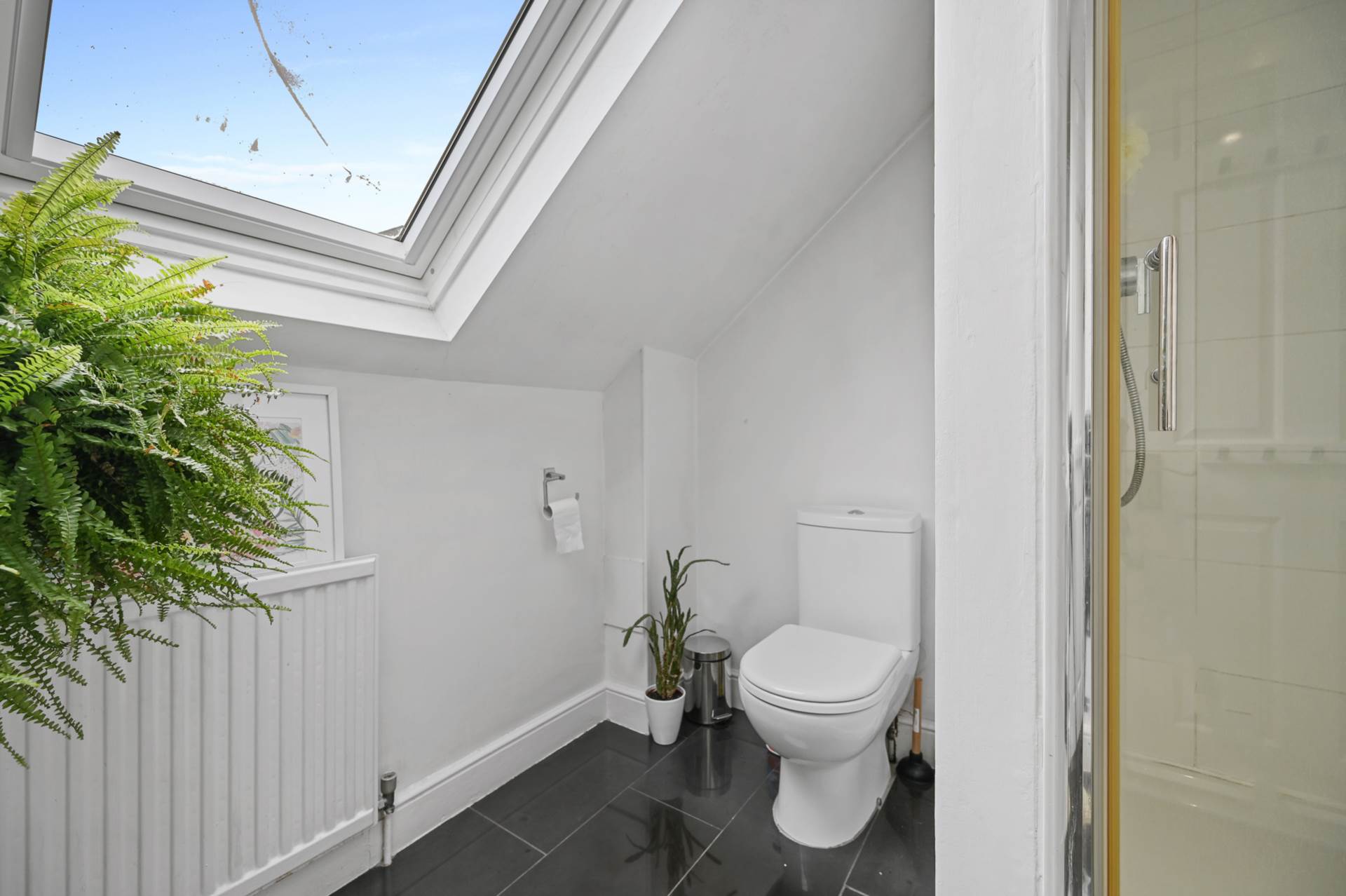 Battersea Park Road, Battersea, Image 7