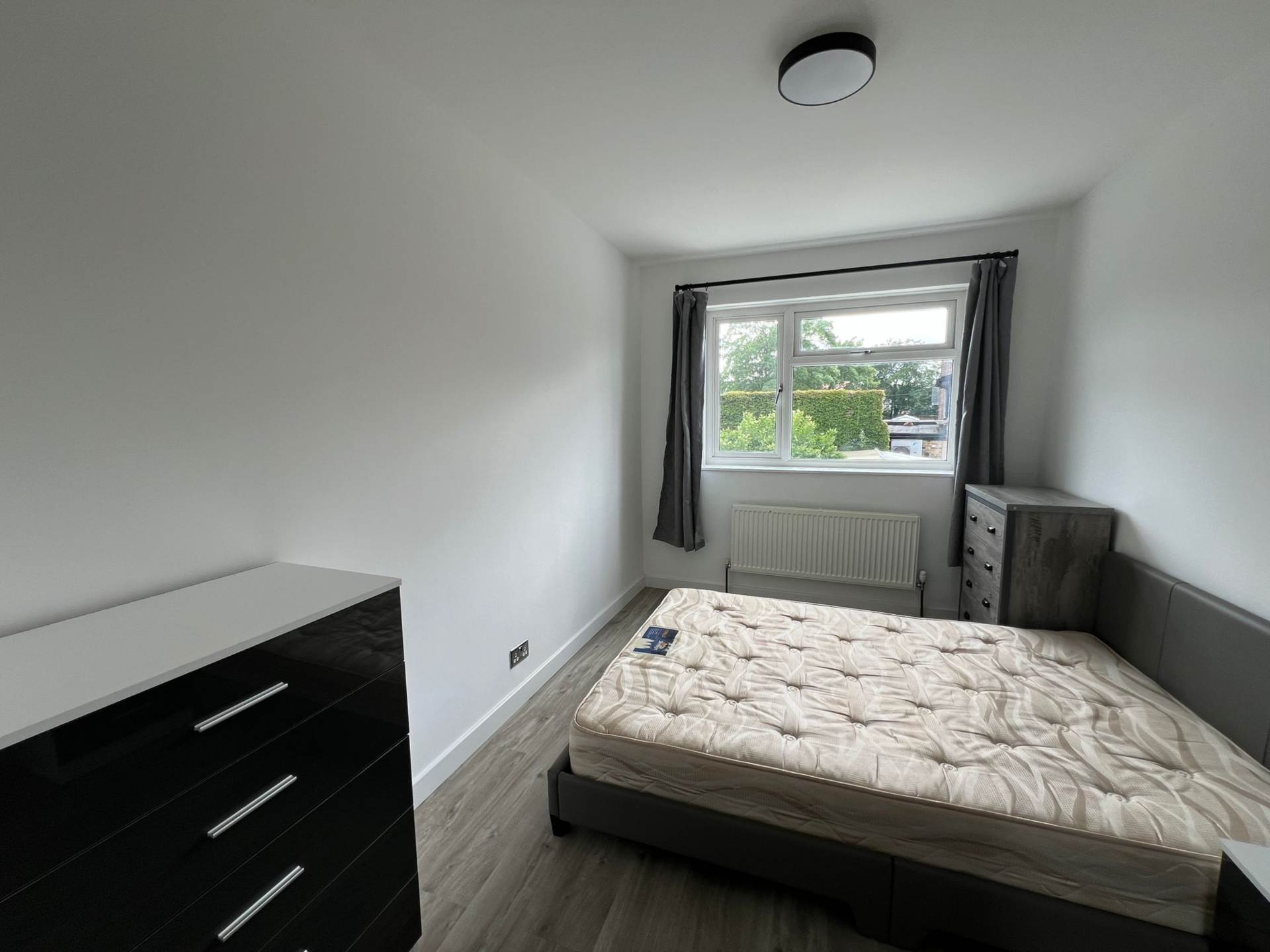 High Tree, London, Image 3