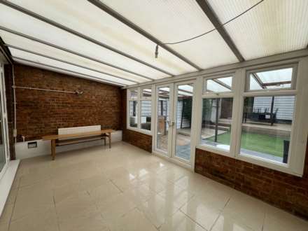 High Tree, London, Image 11