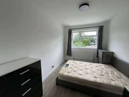 High Tree, London, Image 3