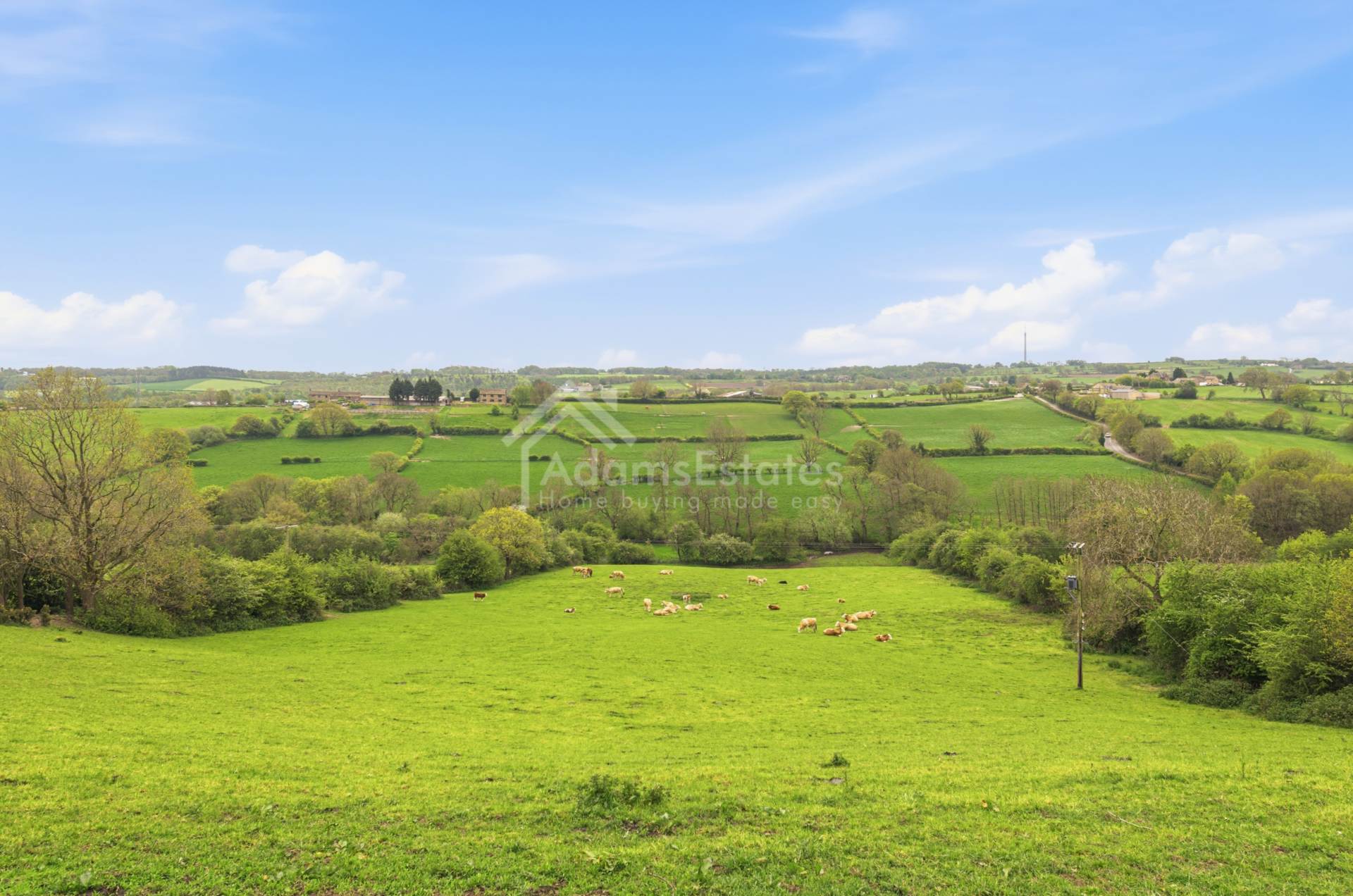 Briestfield Road, Dewsbury, Image 30