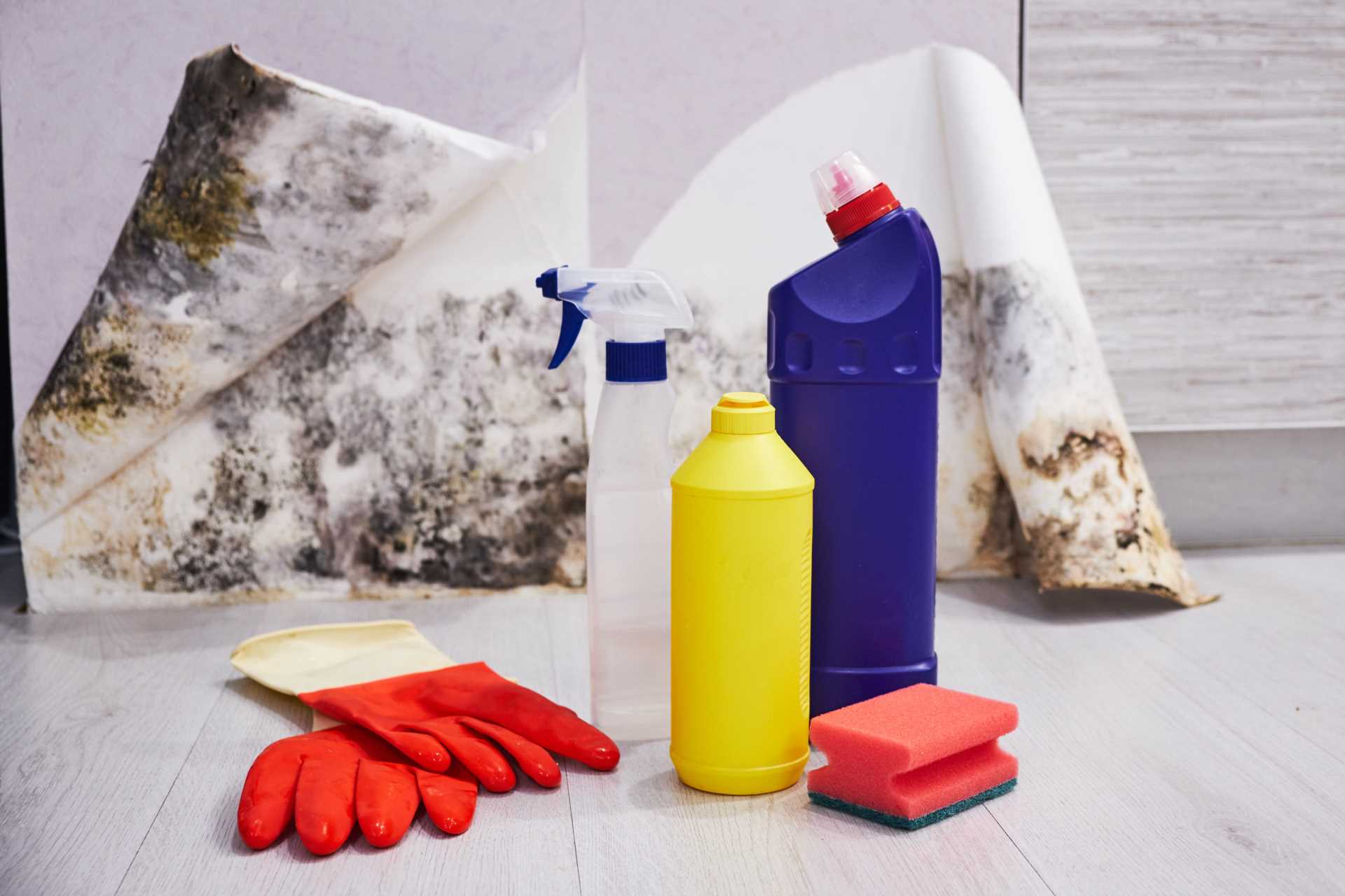 New Damp and Mould Guidance