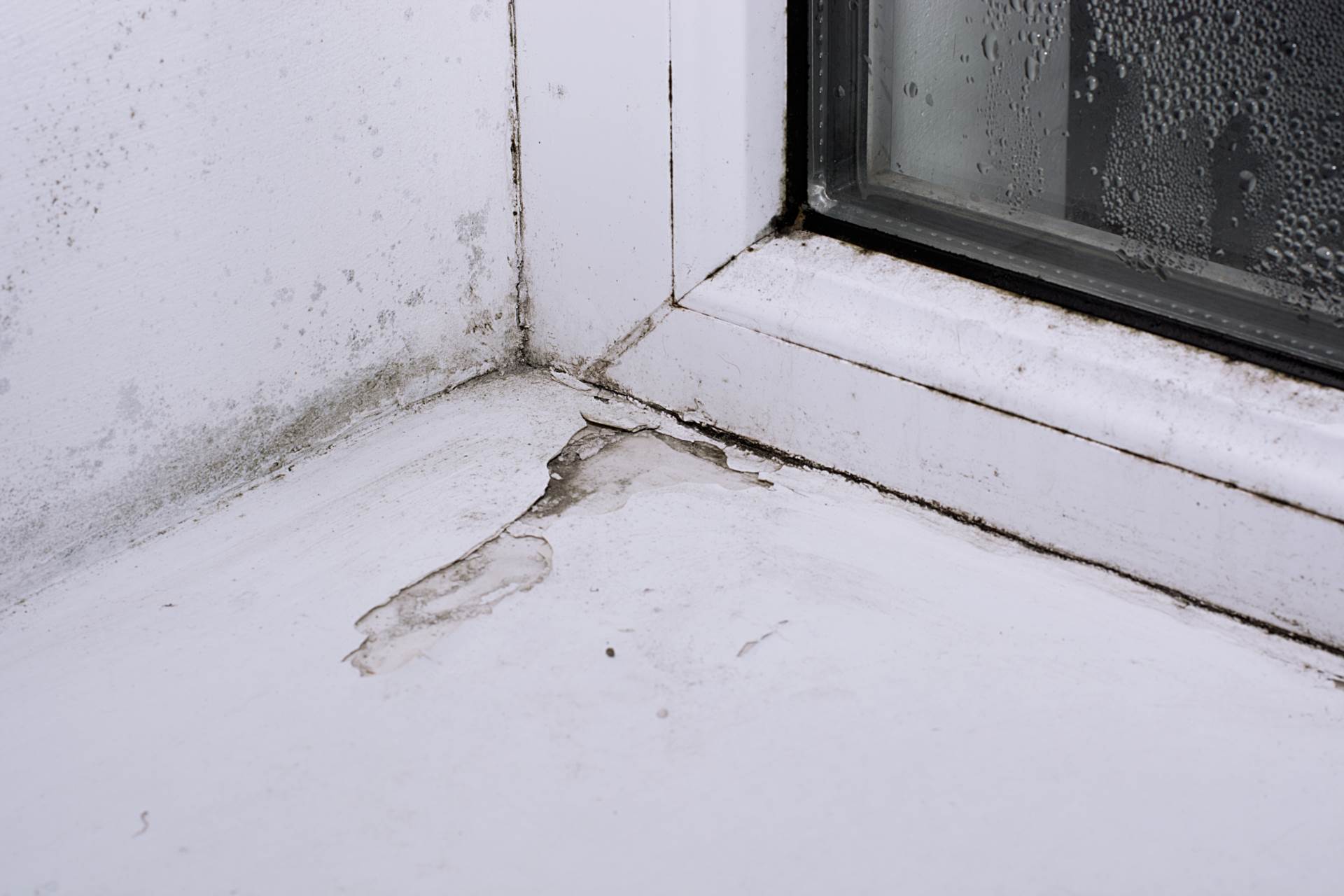 Changes Being Introduced to Awaab`s Law to Help Tackle Damp and Mould
