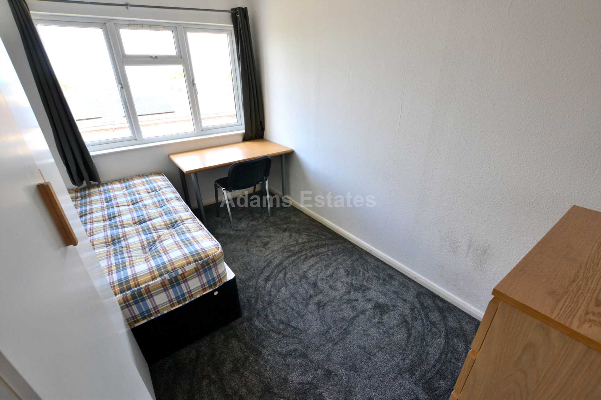 Spring Terrace, Reading, England, Image 10