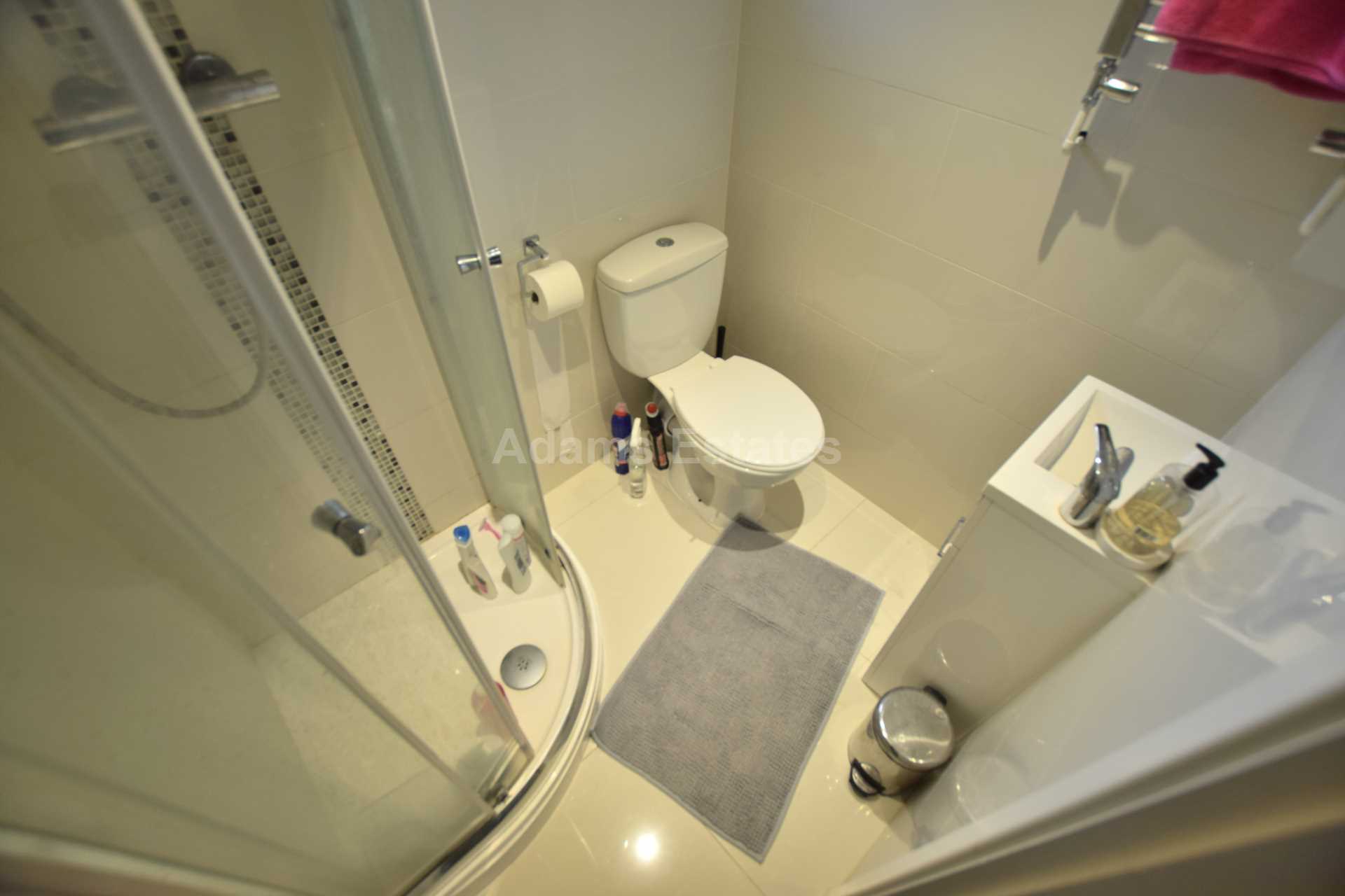 Blenheim Road, Reading, Image 10