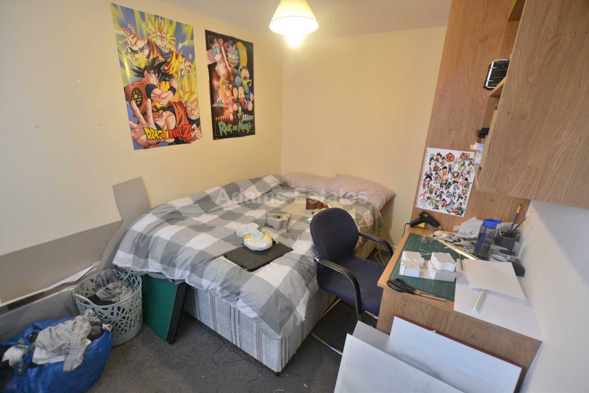 Blenheim Road, Reading, Image 11