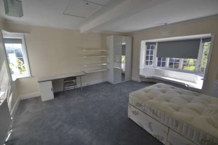 Shinfield Road, Reading, Image 6