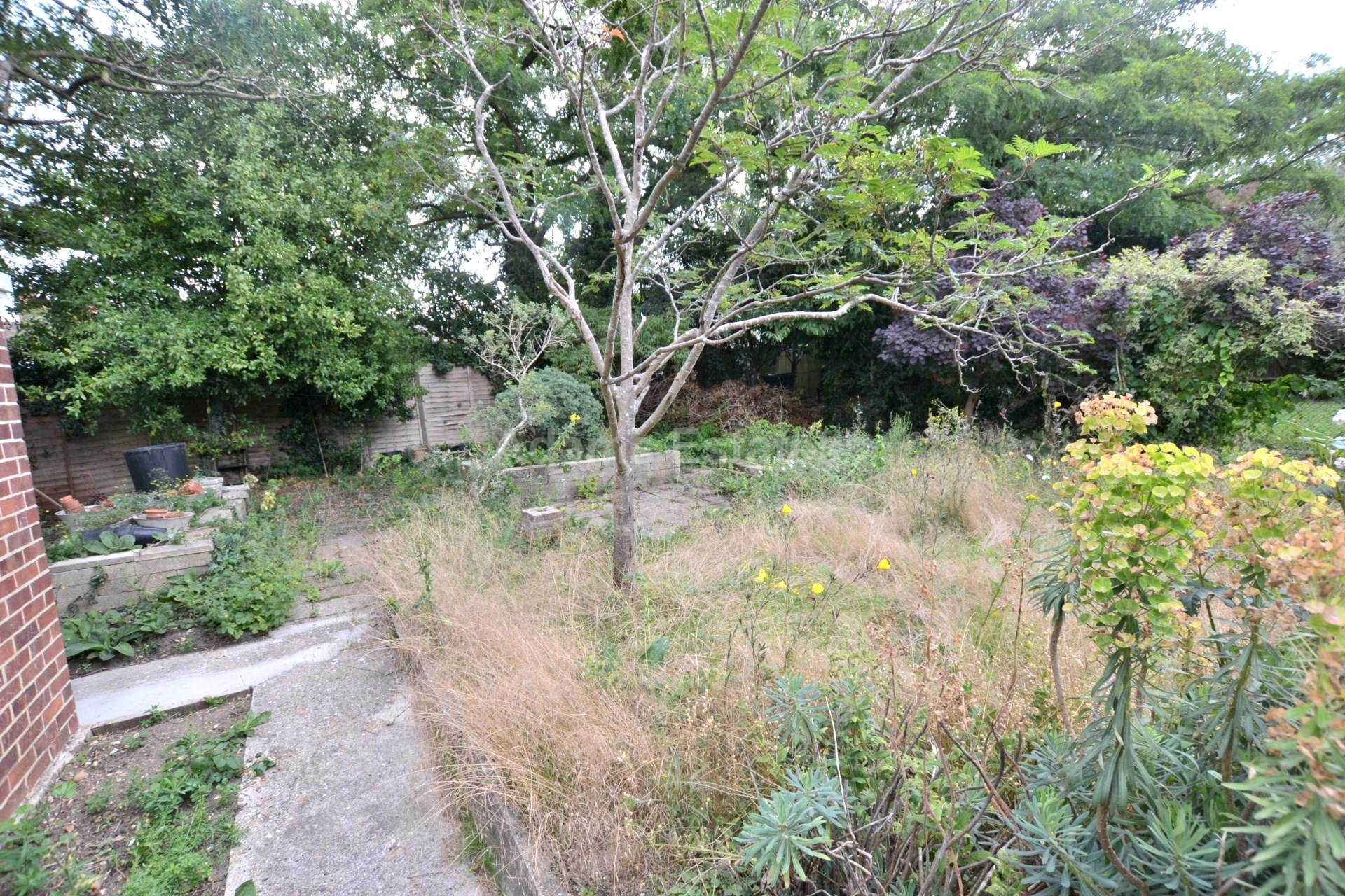 The Mount, Reading, Image 11