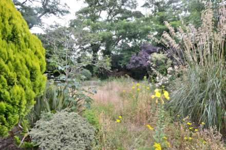 The Mount, Reading, Image 10