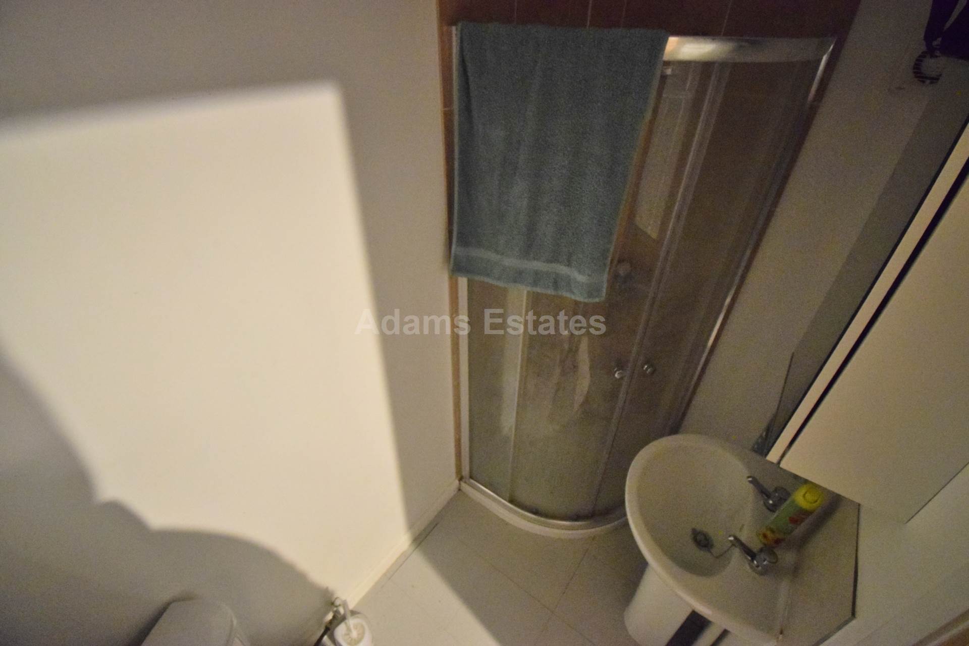 Amity Road, Reading, Image 11