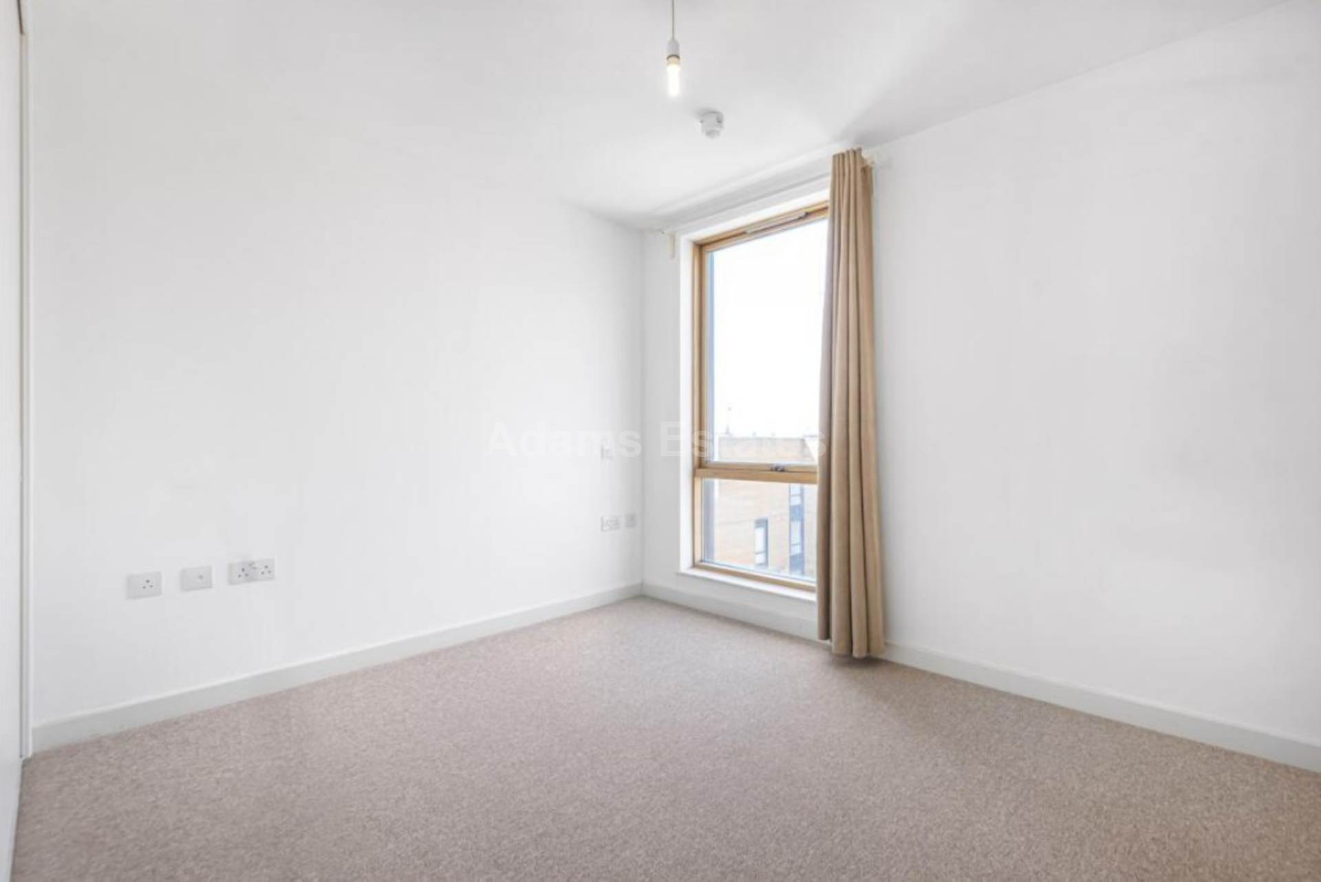 Hunsaker Street, Alfred Street, Image 9