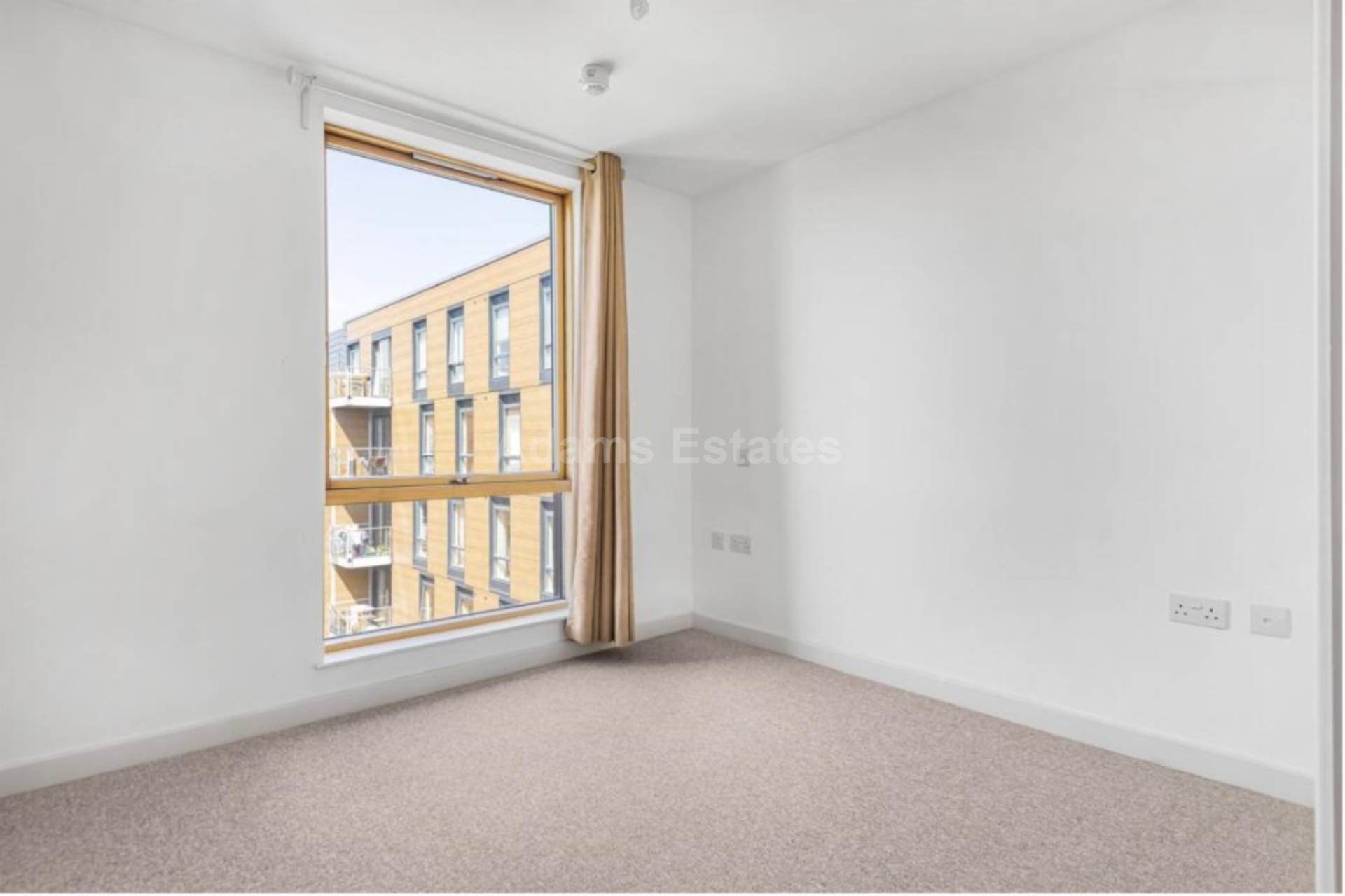 Hunsaker Street, Alfred Street, Image 6