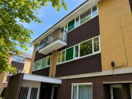 Nelson Terrace, Reading, Image 1