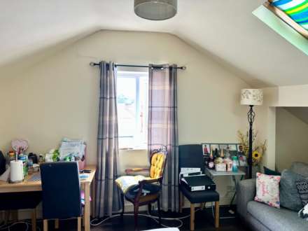 Ely Road, London, E10, Image 12