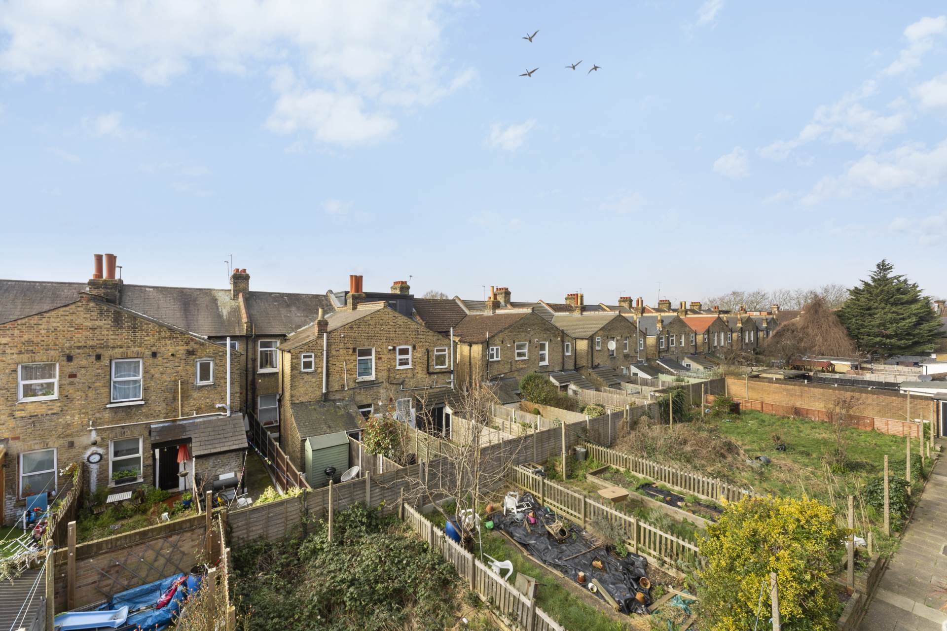 King Edward Road, London, E10, Image 15