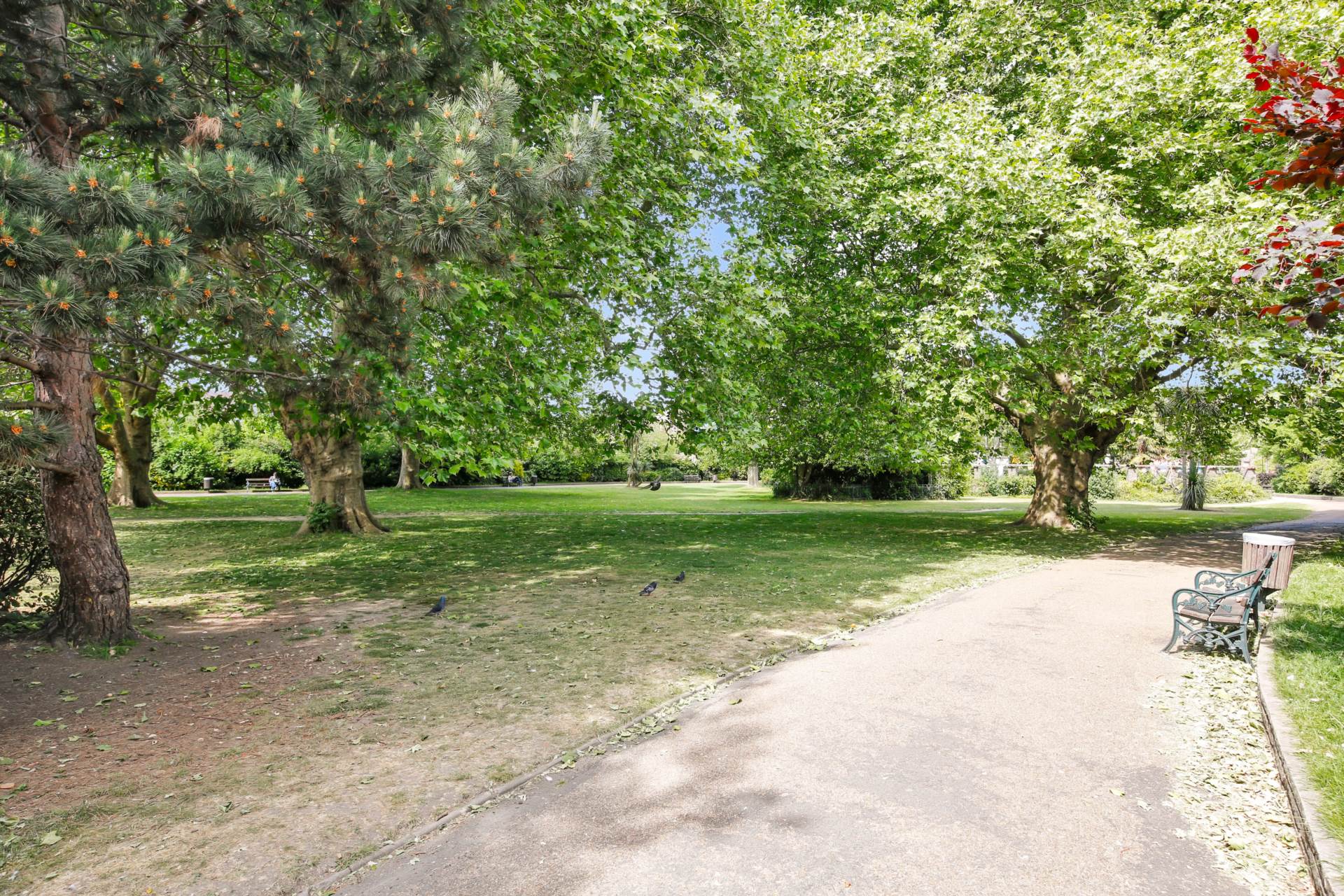 Lyttelton Road, Leyton, E10, Image 13