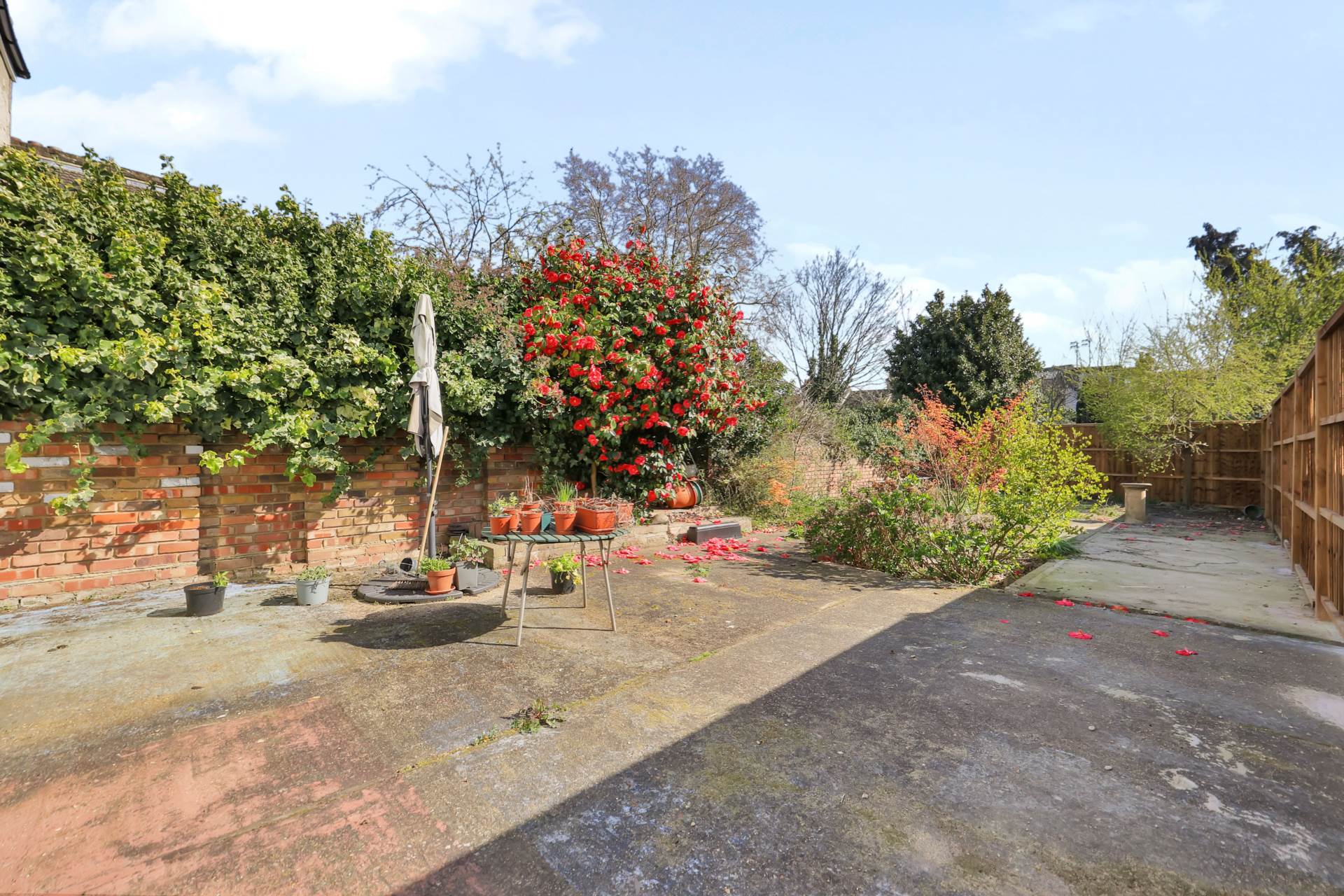 Thornhill Road, Leyton, E10, Image 17