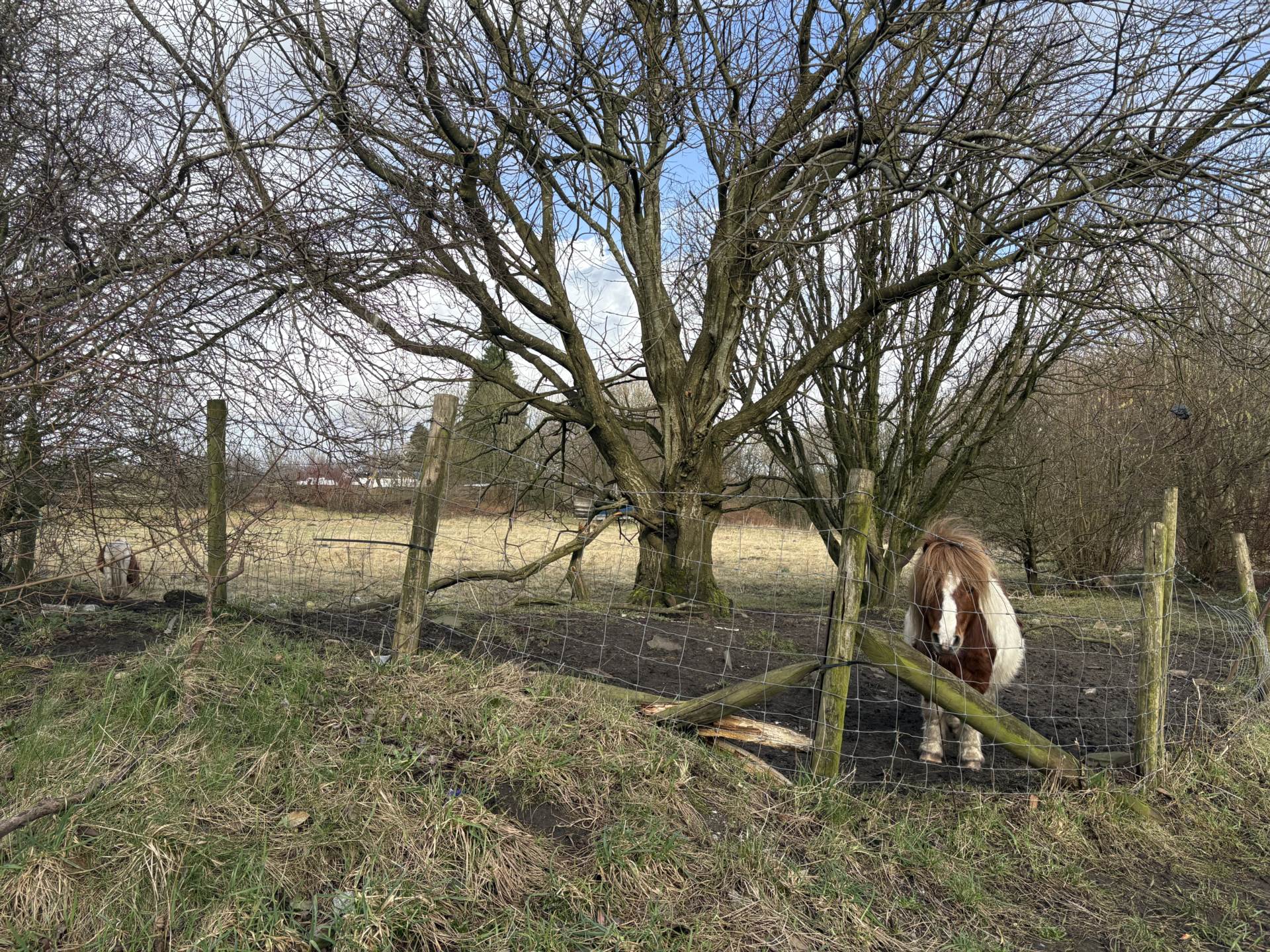 Broadbent Road, Watersheddings, Image 15