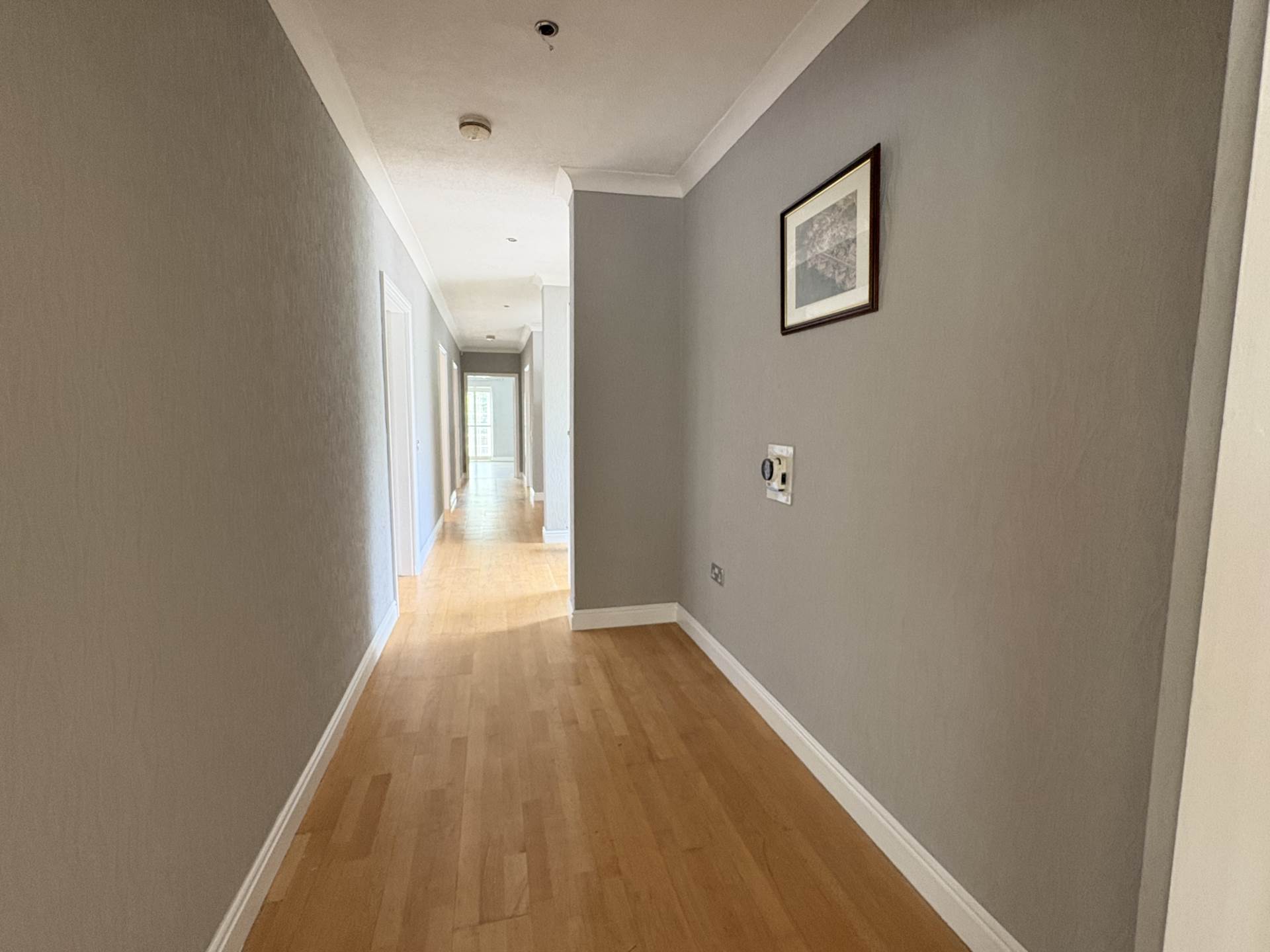 Midge Hall Drive, Bamford, Image 4