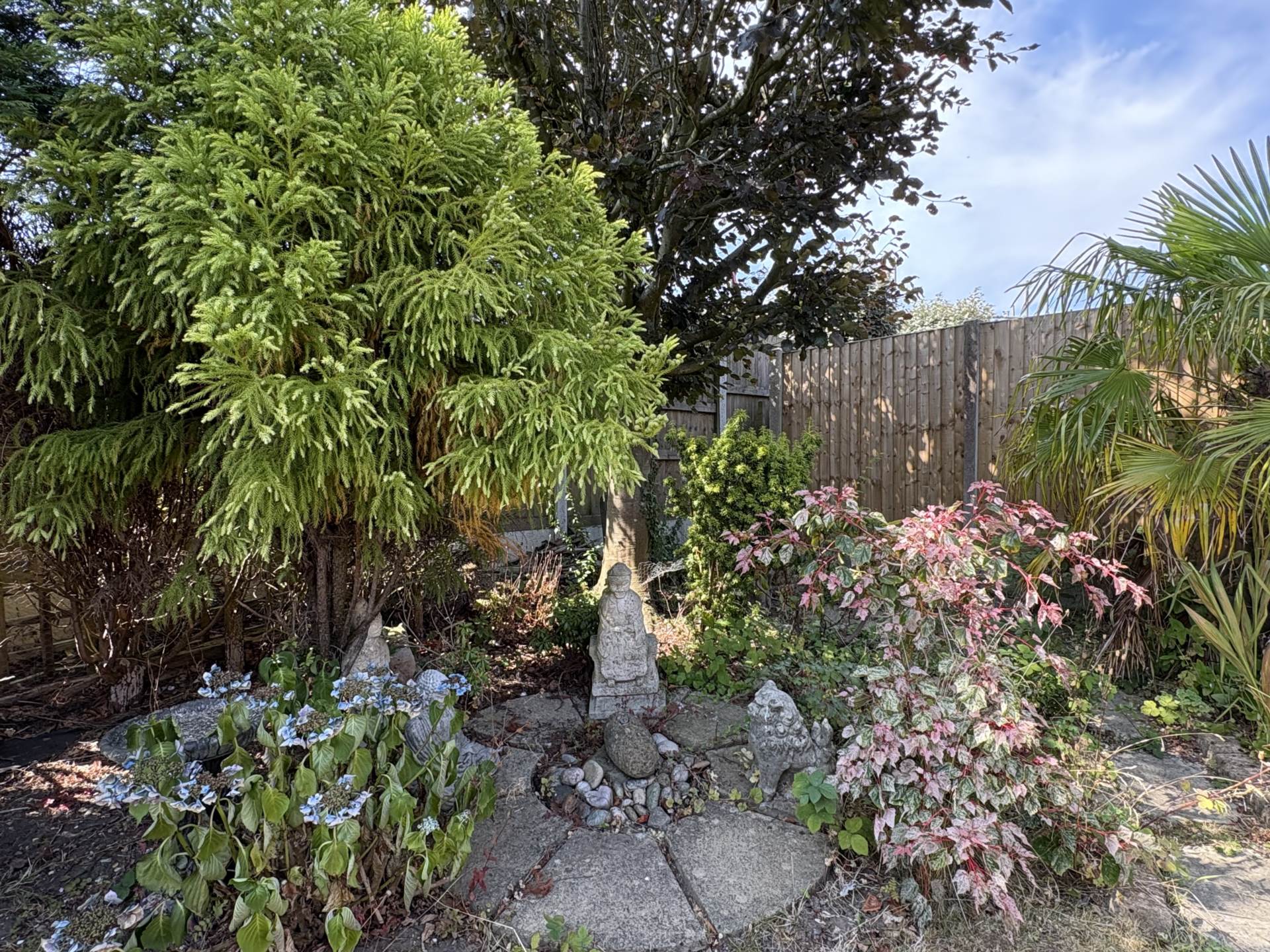 Trent Road, Shaw, Image 15