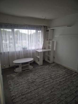 Drew Gardens, Greenford, Image 4