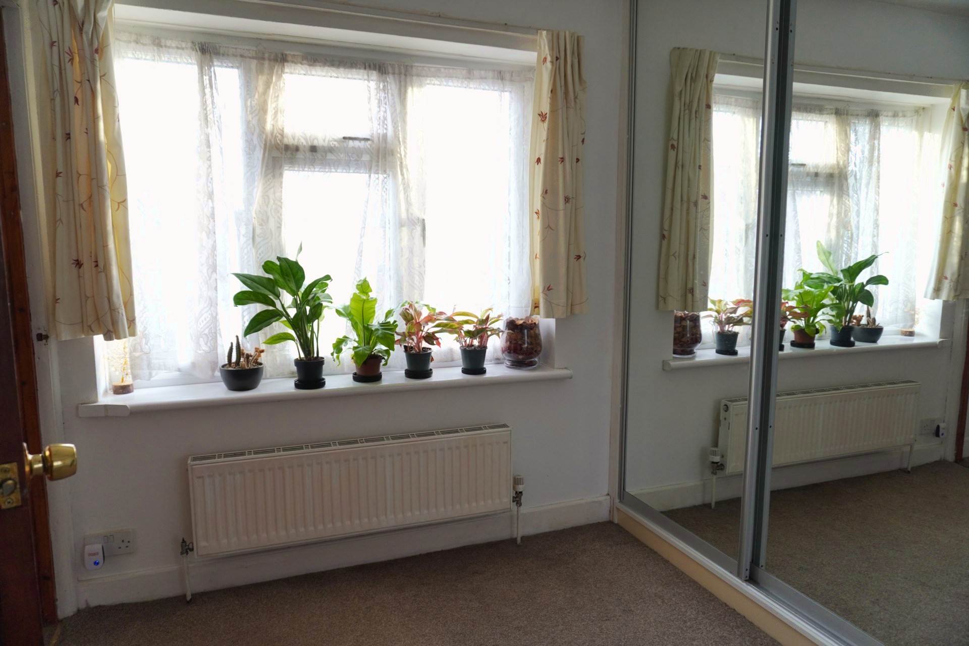 Sycamore Avenue, London, Image 5