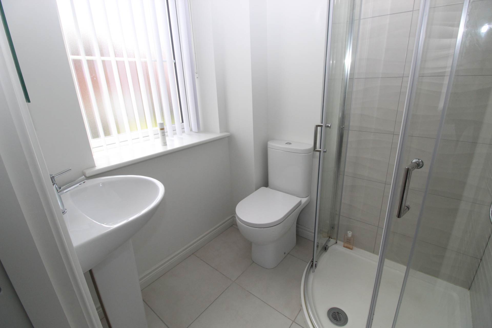 Millmount Village Gardens, Belfast, Image 12