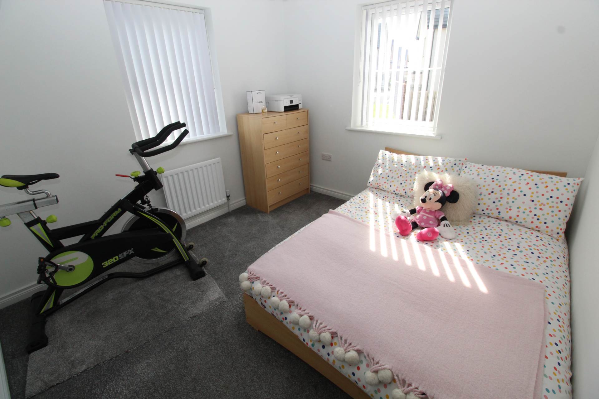 Millmount Village Gardens, Belfast, Image 16