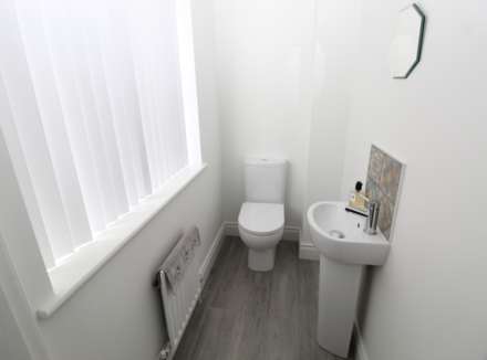 Millmount Village Gardens, Belfast, Image 5