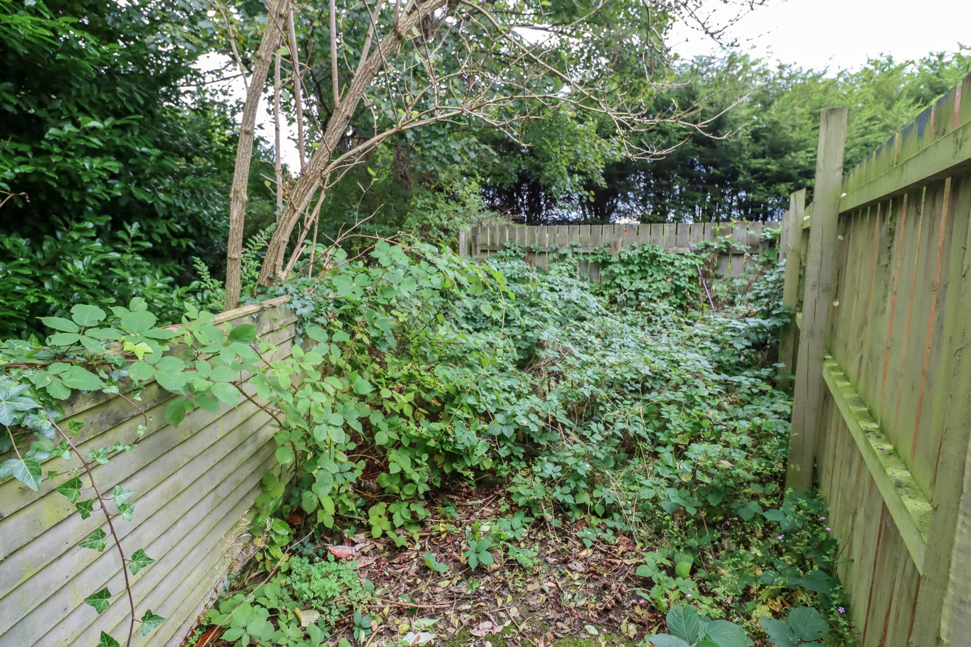 29b Dundonald Heights, Dundonald, Image 14