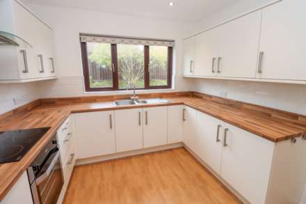 Old Mill Dale, Dundonald, Image 11