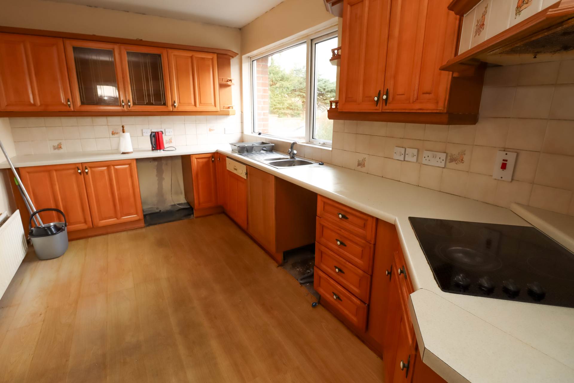 Willowvale, Belfast, Image 8