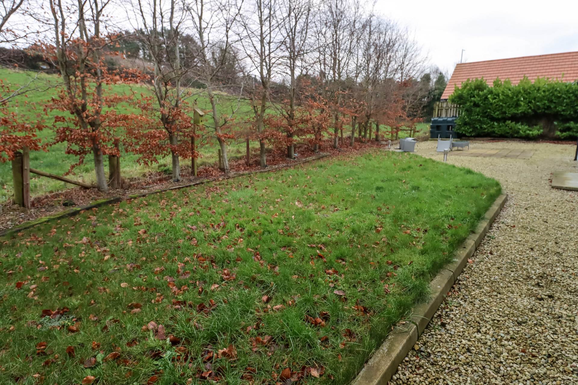 Belfast Road, Dundonald, Image 20