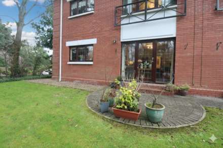 Cherrytree Walk, Gilnahirk, Image 16